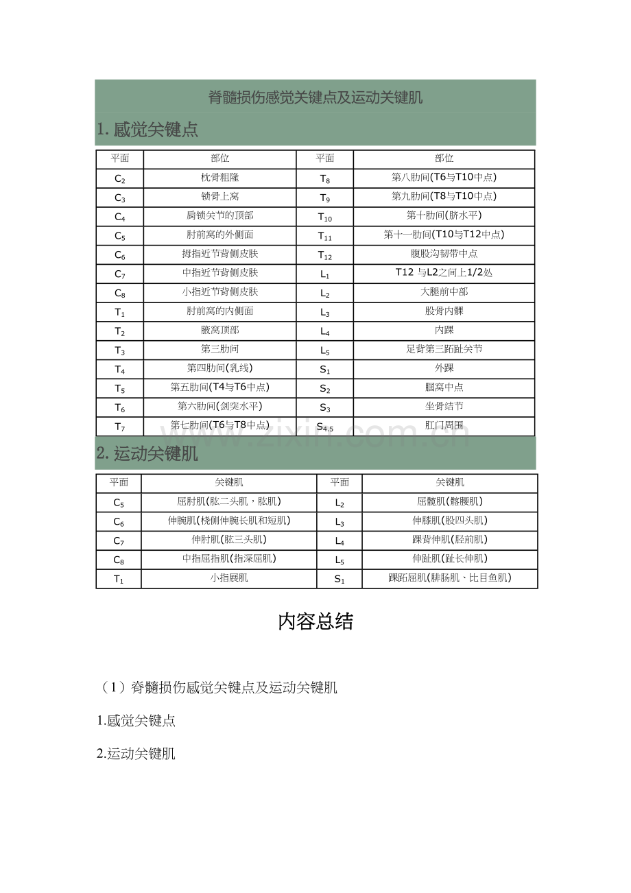 脊髓损伤感觉关键点及运动关键肌.docx_第1页