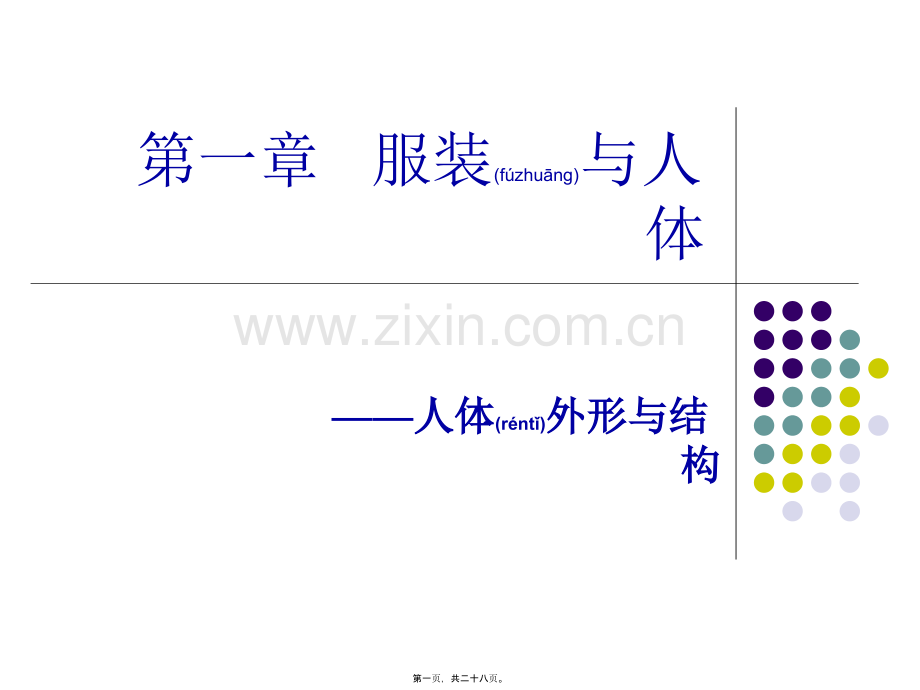 人体结构与外形.ppt_第1页