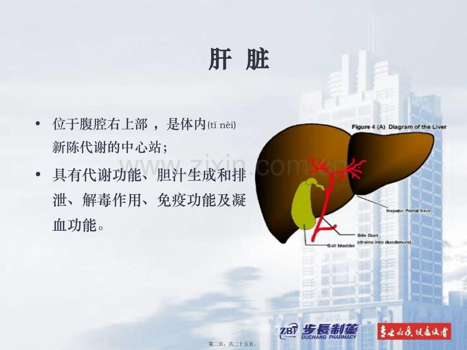 肝爽(代表)讲诉.ppt_第2页