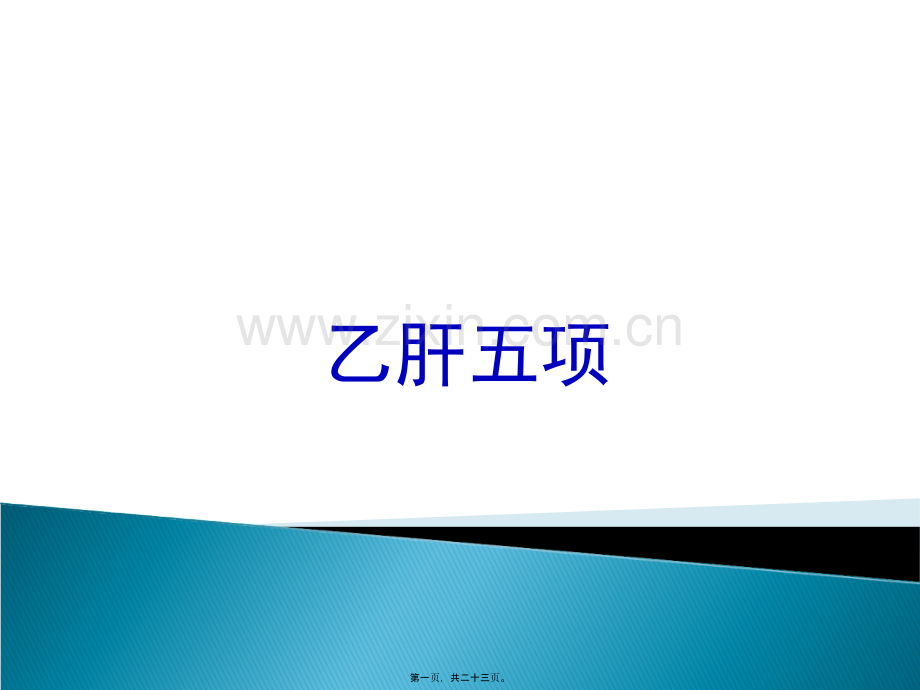 乙肝五项修改版.ppt_第1页