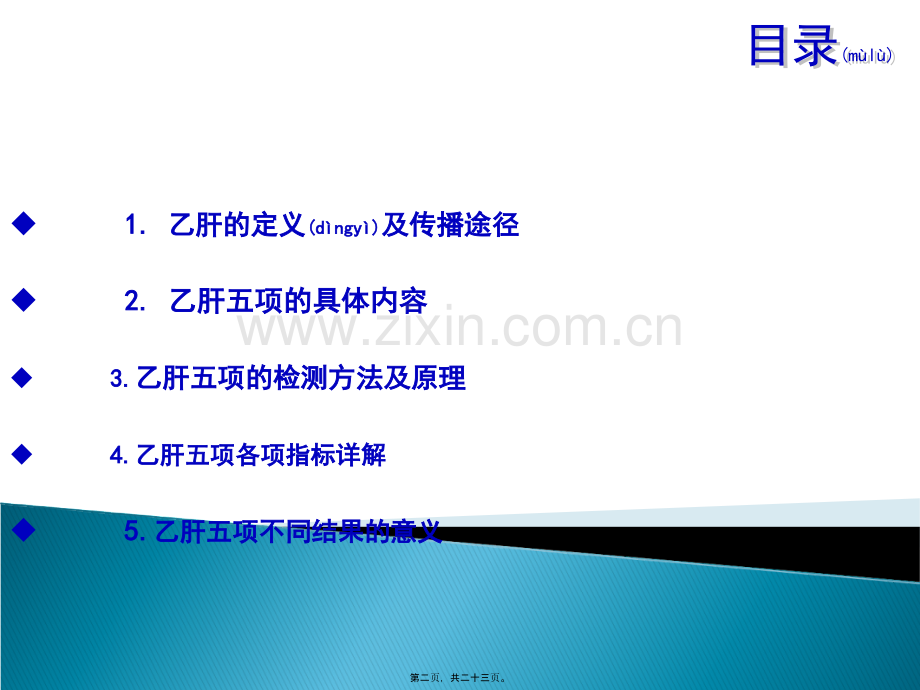 乙肝五项修改版.ppt_第2页