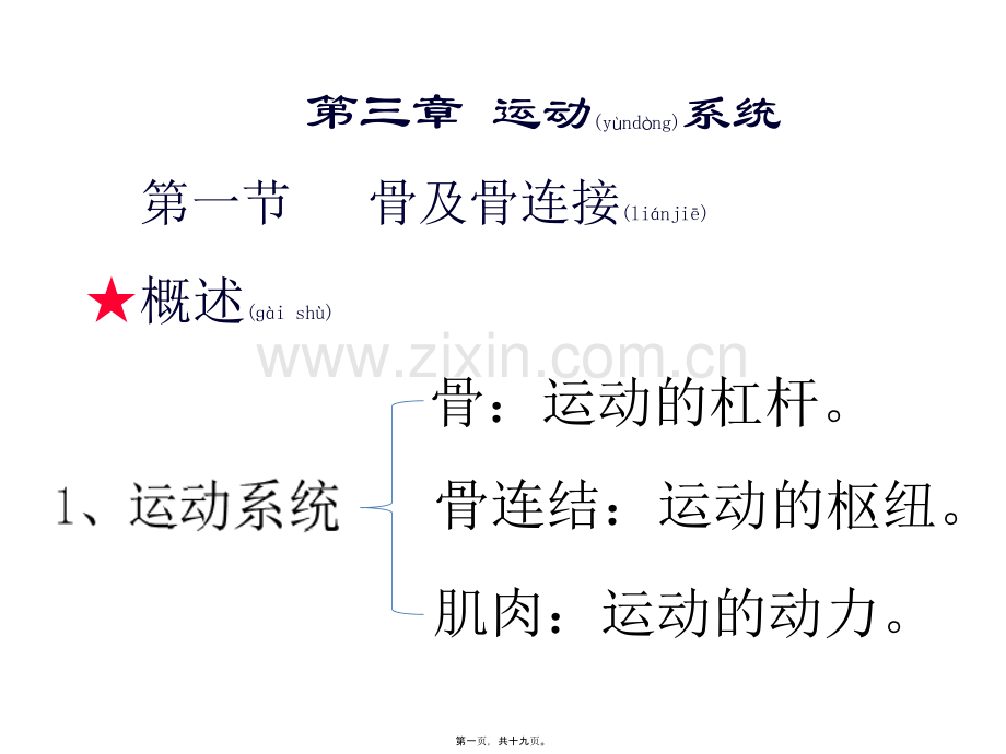 一、骨的一般特性.pptx_第1页