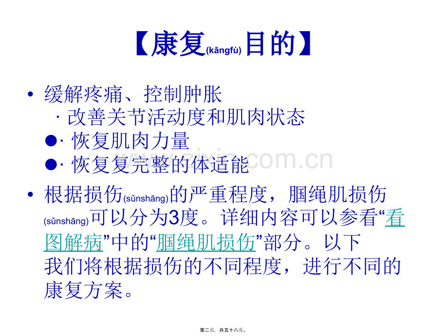 腘绳肌损伤的康复.ppt_第2页