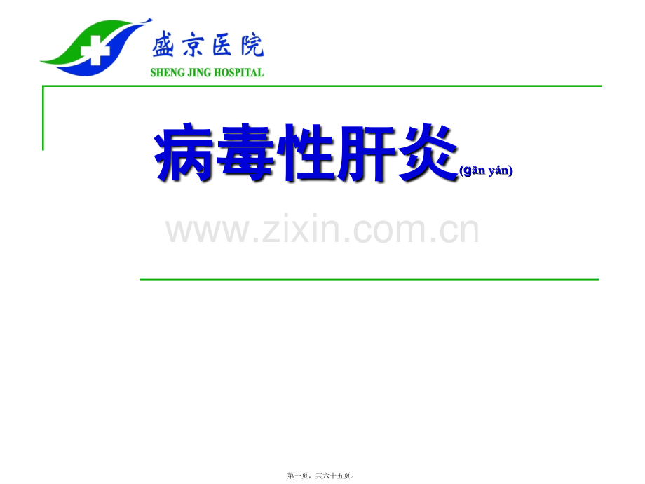 肝炎知识的简介.ppt_第1页