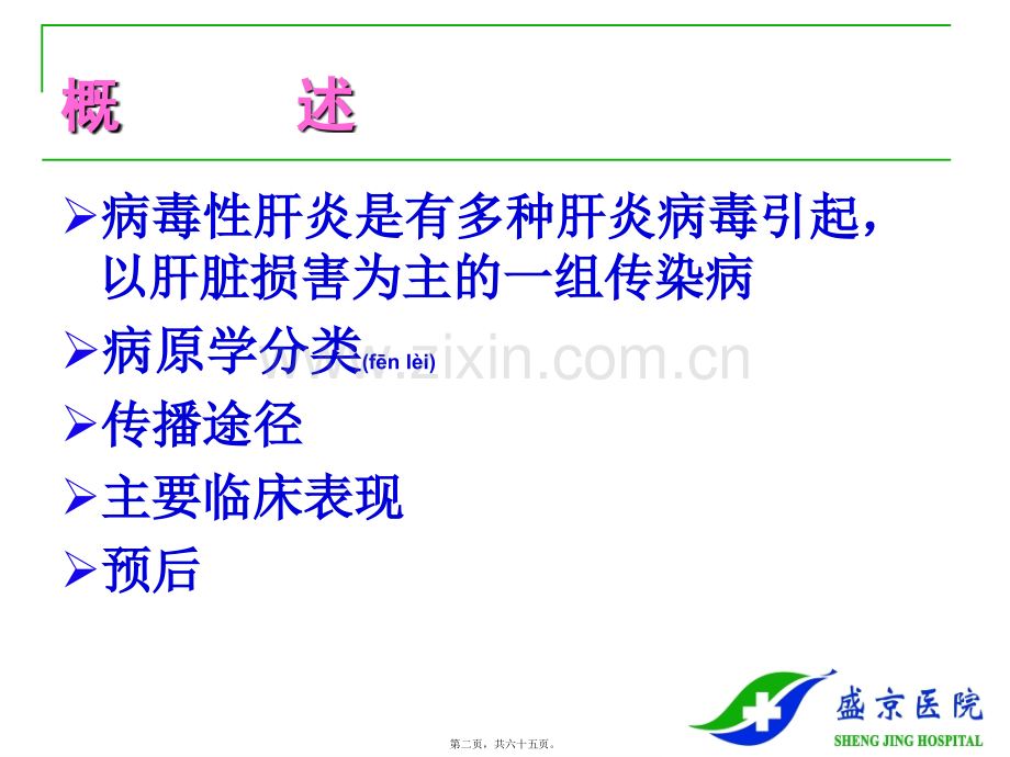 肝炎知识的简介.ppt_第2页