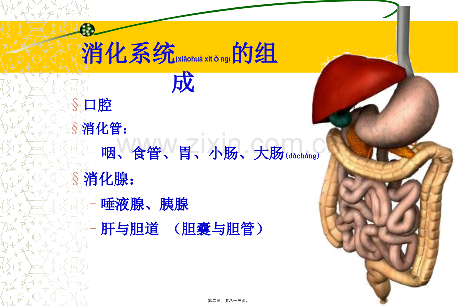 胃炎胃溃疡.ppt_第2页