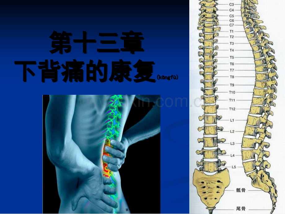 下背痛的康复.ppt_第1页