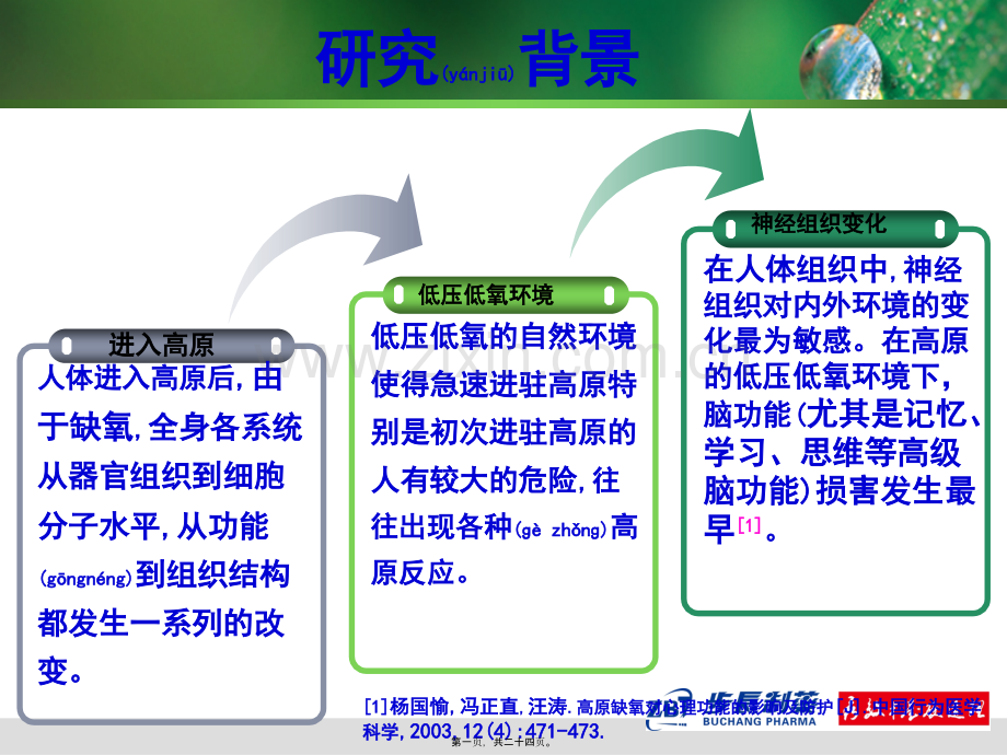 脑心通07号抗缺血缺氧研究科会(兰州军区乌鲁木齐总医院徐江涛).ppt_第1页