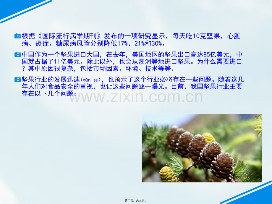 一枚松塔秉承纯天然健康理念.ppt_第2页
