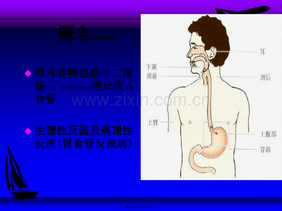 胃食管反流.ppt_第2页