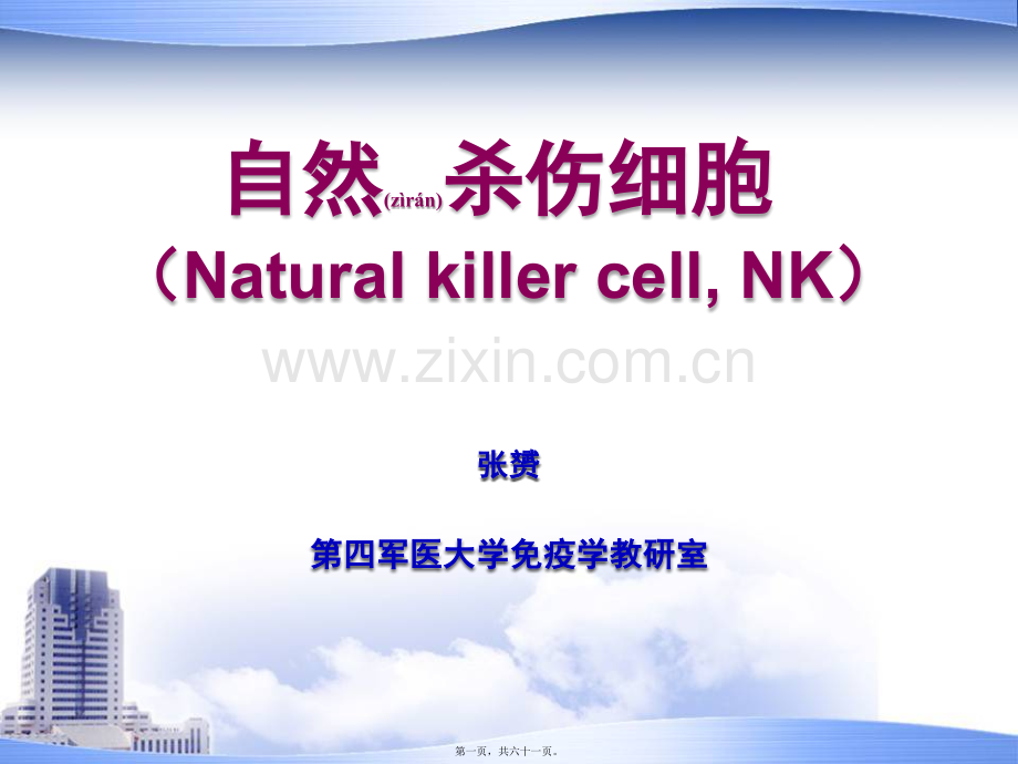 NK细胞(2010上).ppt_第1页