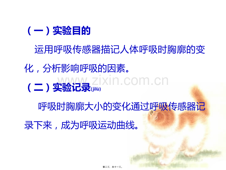 人体呼吸运动.ppt_第2页