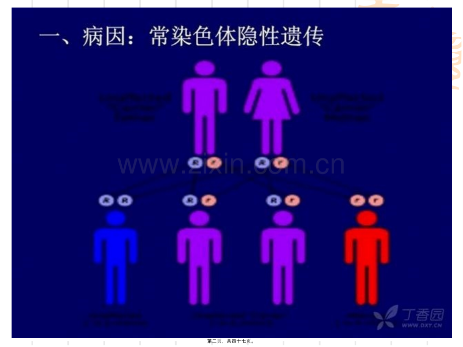 肝豆状核变性指南-(1).ppt_第2页