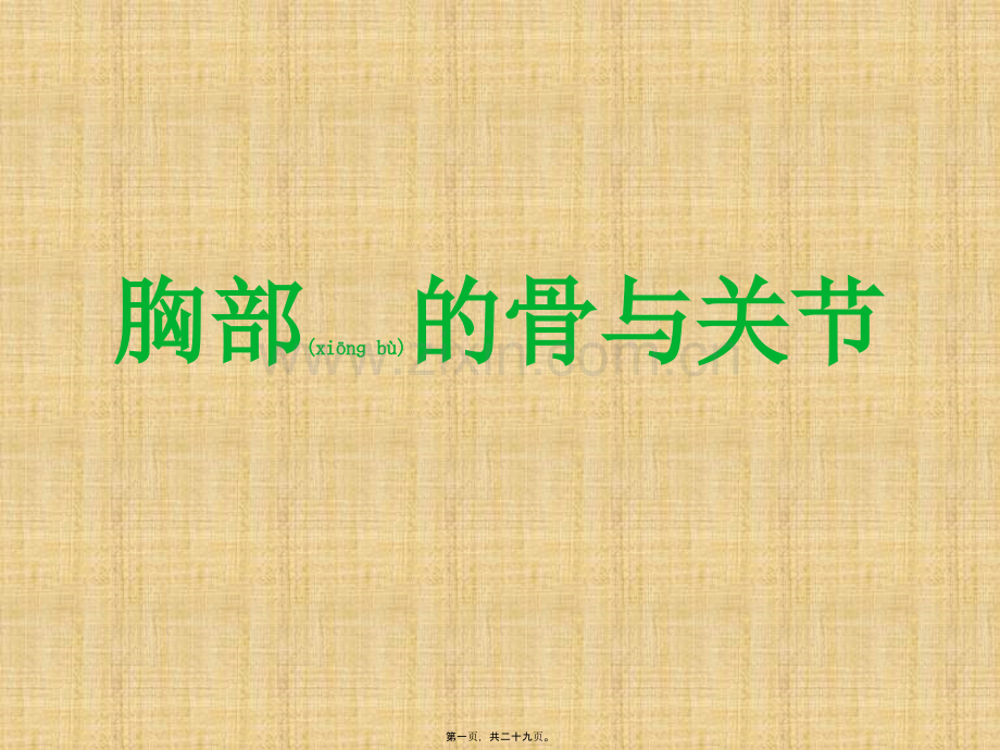 胸部的骨与关节.pptx_第1页