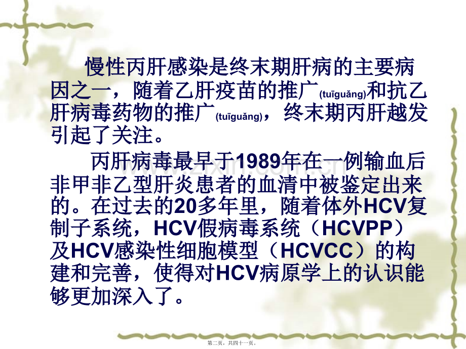 丙型肝炎的防治.ppt_第2页