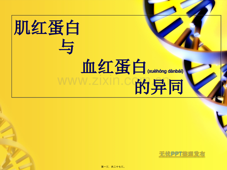 肌红蛋白和血红蛋白的异同.ppt_第1页