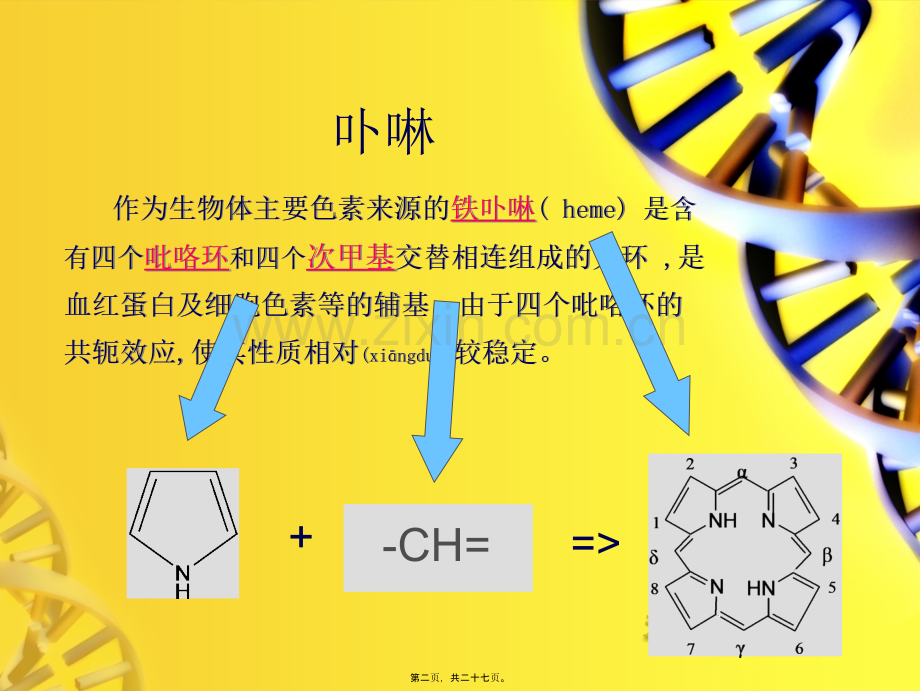 肌红蛋白和血红蛋白的异同.ppt_第2页