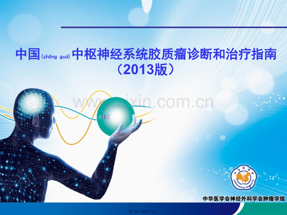 胶质瘤诊疗指南(2013版).ppt_第1页