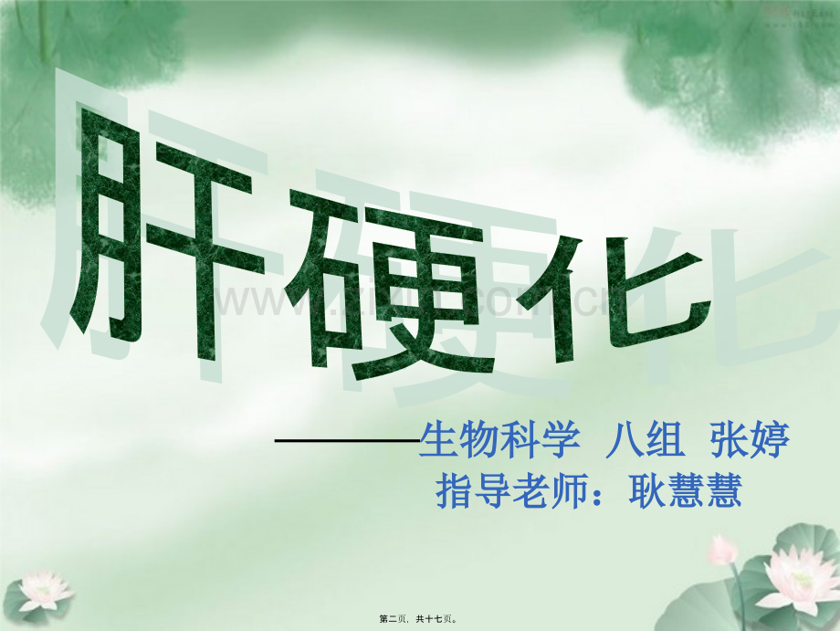 肝的大体形态及镜下结构.ppt_第2页