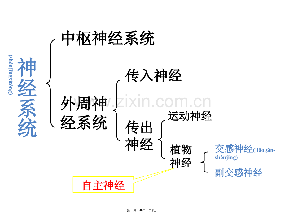中枢神经系统药理.ppt_第1页