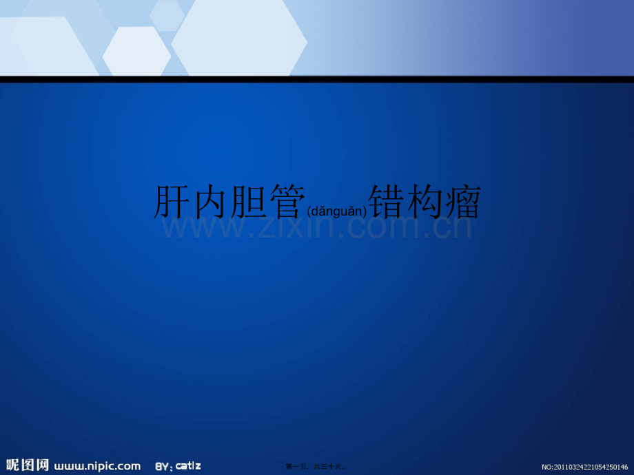 肝内胆管错构瘤.ppt_第1页