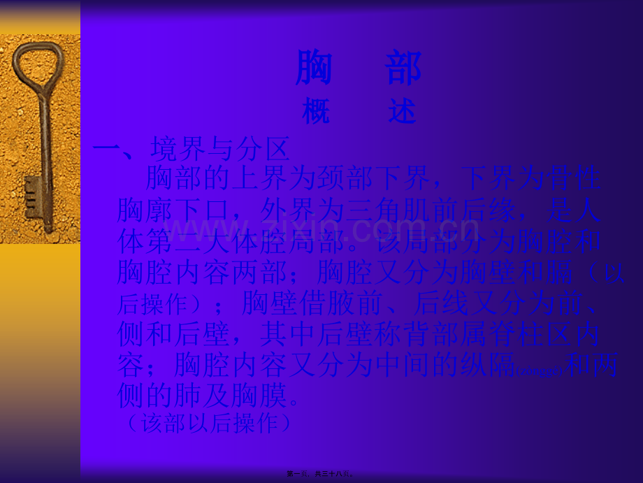 胸前区、腋区.ppt_第1页