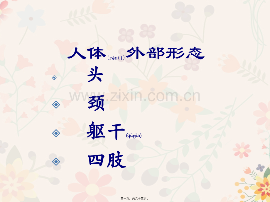 人体的外部结构.pptx_第1页