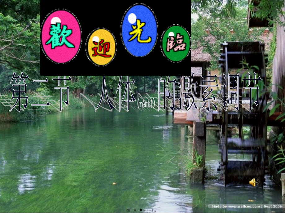 人体的激素调节(浙教版).ppt_第1页