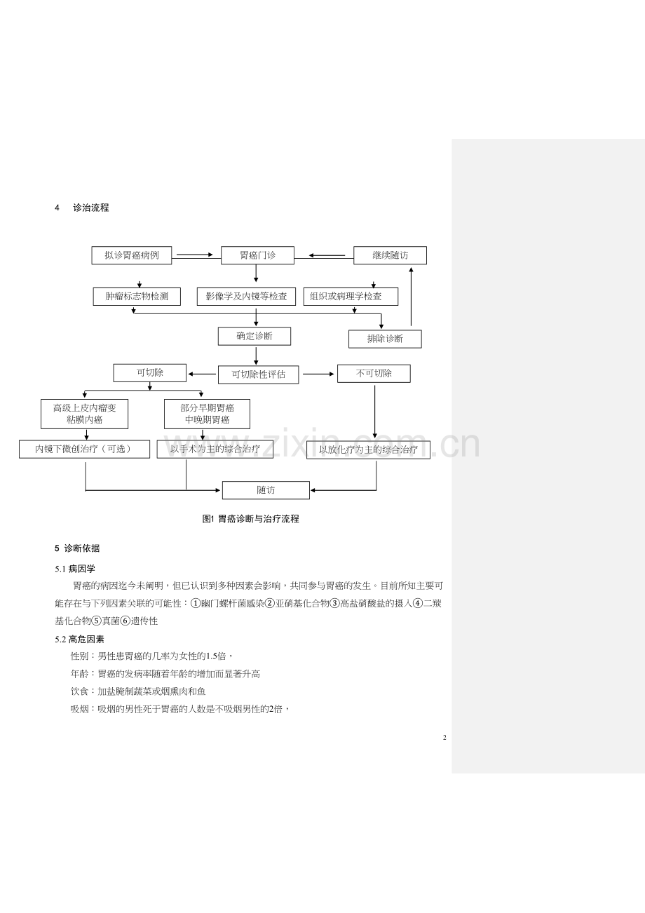 胃癌规范化诊治指南(试行)2013.docx_第2页