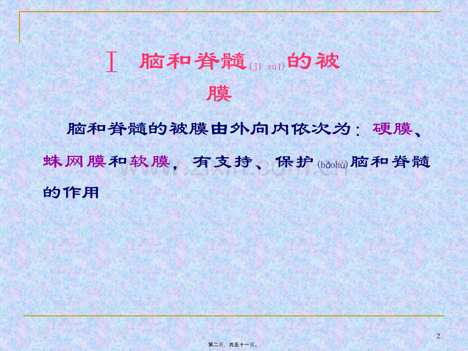 脑和脊髓的被膜、血管、脑脊液循环.ppt_第2页