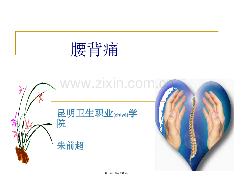 腰背痛(朱前超).ppt_第1页