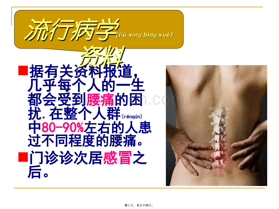 腰背痛(朱前超).ppt_第2页