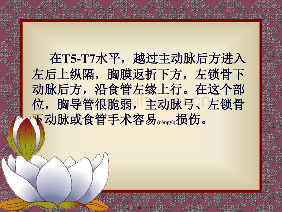 胸导管与乳糜胸.ppt_第1页
