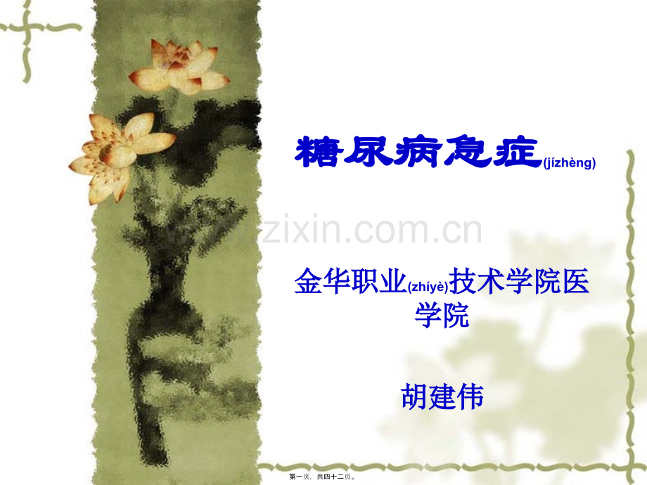 -糖尿病急症.ppt_第1页