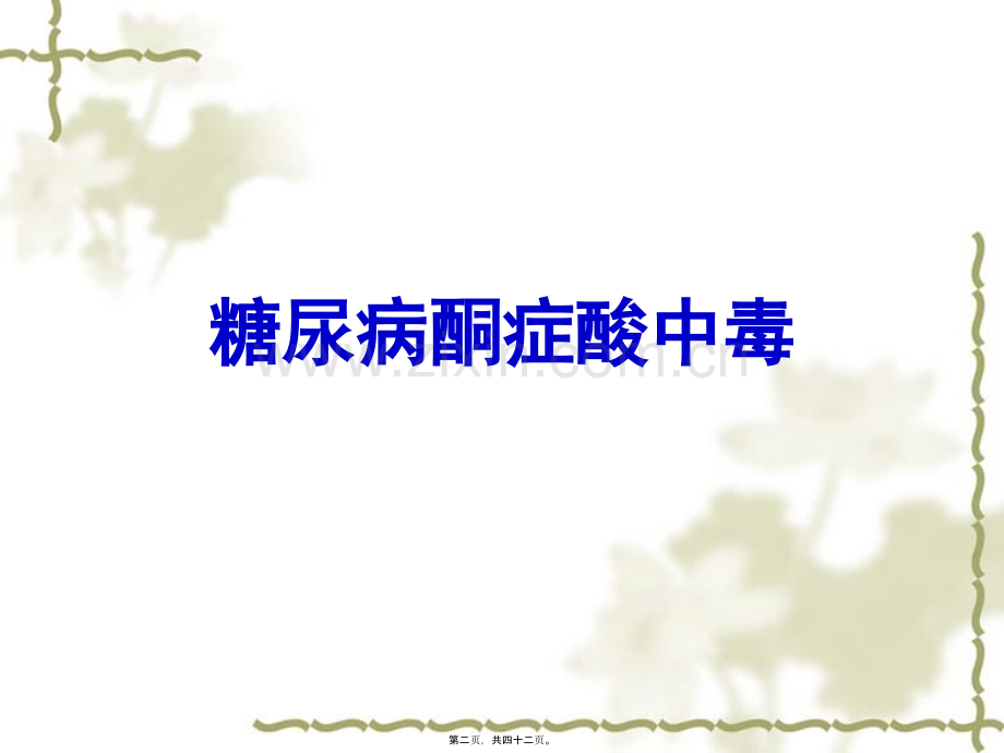 -糖尿病急症.ppt_第2页