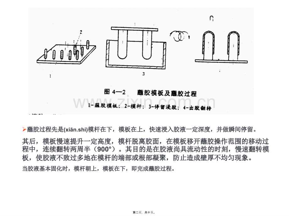 二胶液的处方要求.ppt_第2页