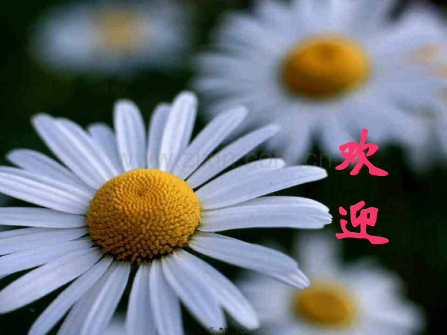 肝衰--2011122.ppt_第1页