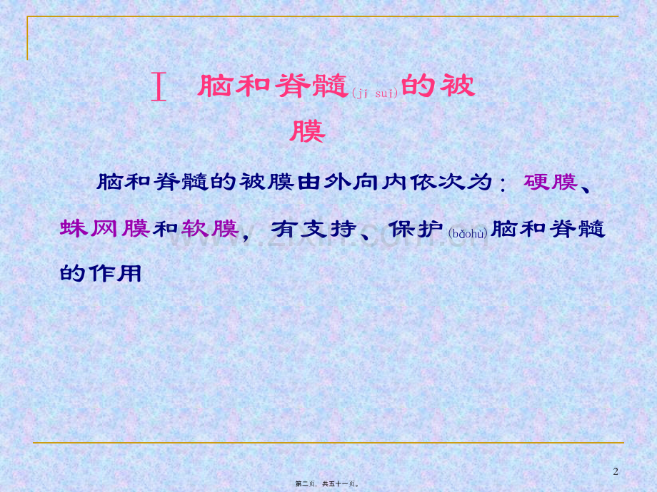 脑和脊髓的被膜、血管、脑脊液循环概要.ppt_第2页