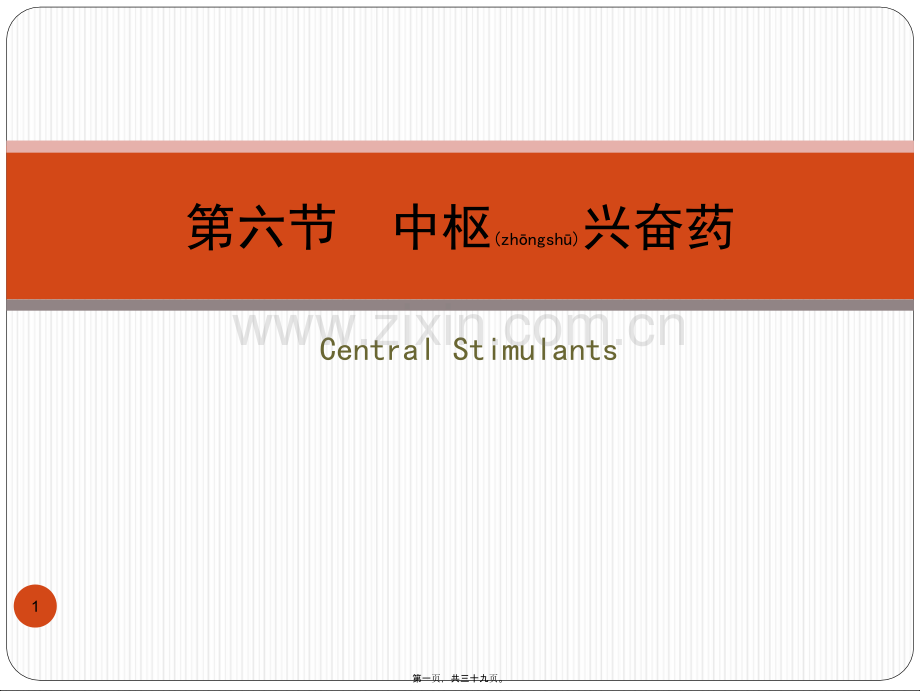 z投02-6中枢兴奋药.ppt_第1页