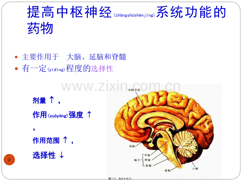 z投02-6中枢兴奋药.ppt_第2页