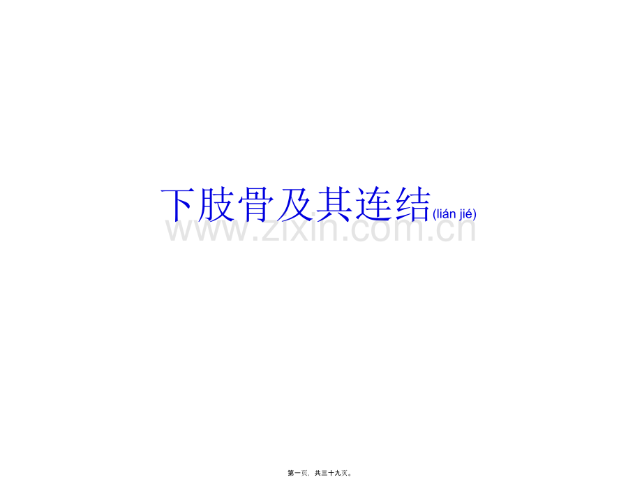 下肢骨与其连结.ppt_第1页
