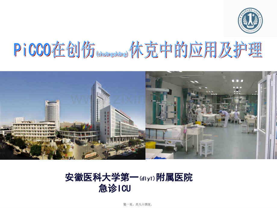 PiCCO在创伤中的价值.ppt_第1页