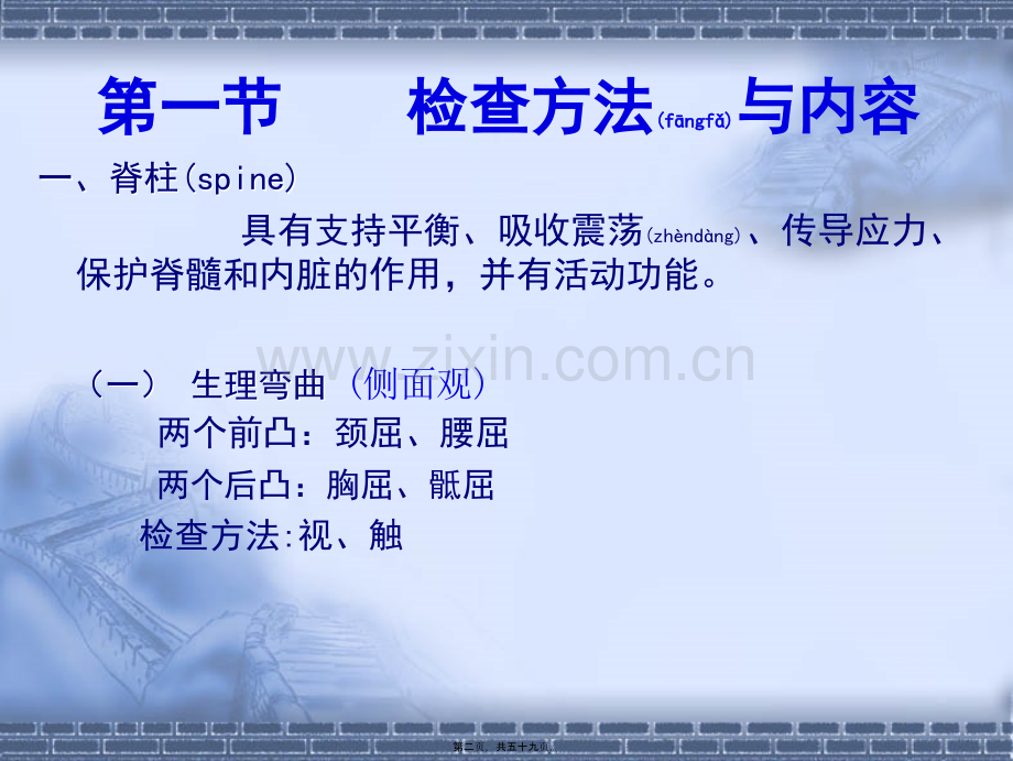 脊柱四肢及关节.ppt_第2页