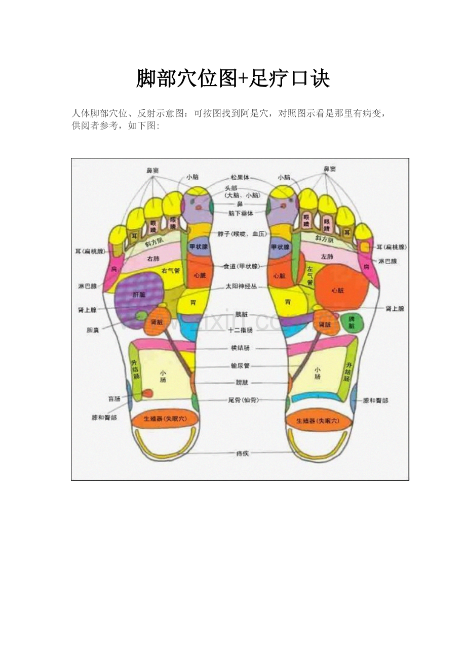 脚部穴位图+足疗口诀.docx_第1页