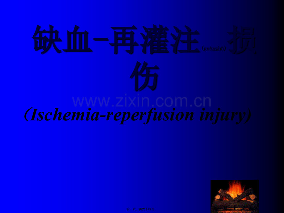 第十三章-缺血再灌注损伤.ppt_第1页