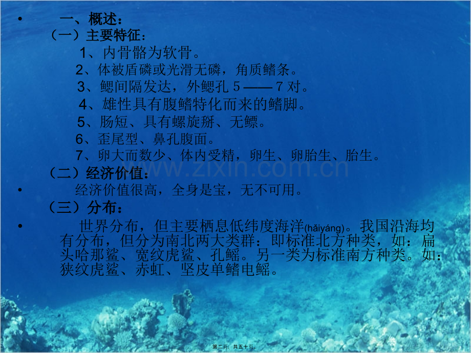 第十四章-----软骨鱼纲.ppt_第2页