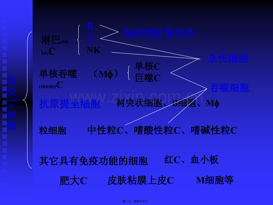 第五章-T淋巴细胞.ppt_第1页