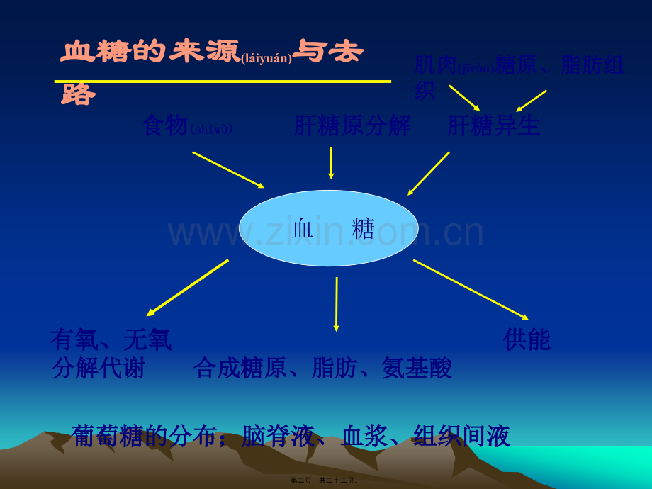 糖尿病抗体三项.ppt_第2页