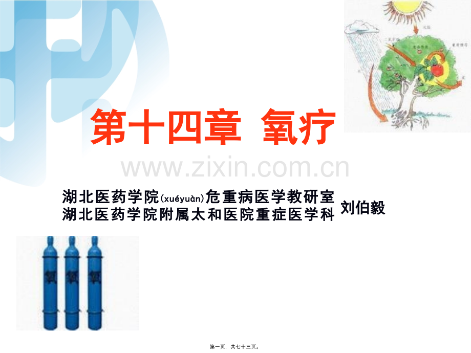 第十四节-氧疗.ppt_第1页