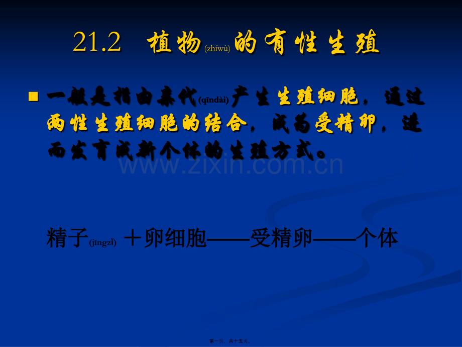 精子+卵细胞——受精卵.ppt_第1页